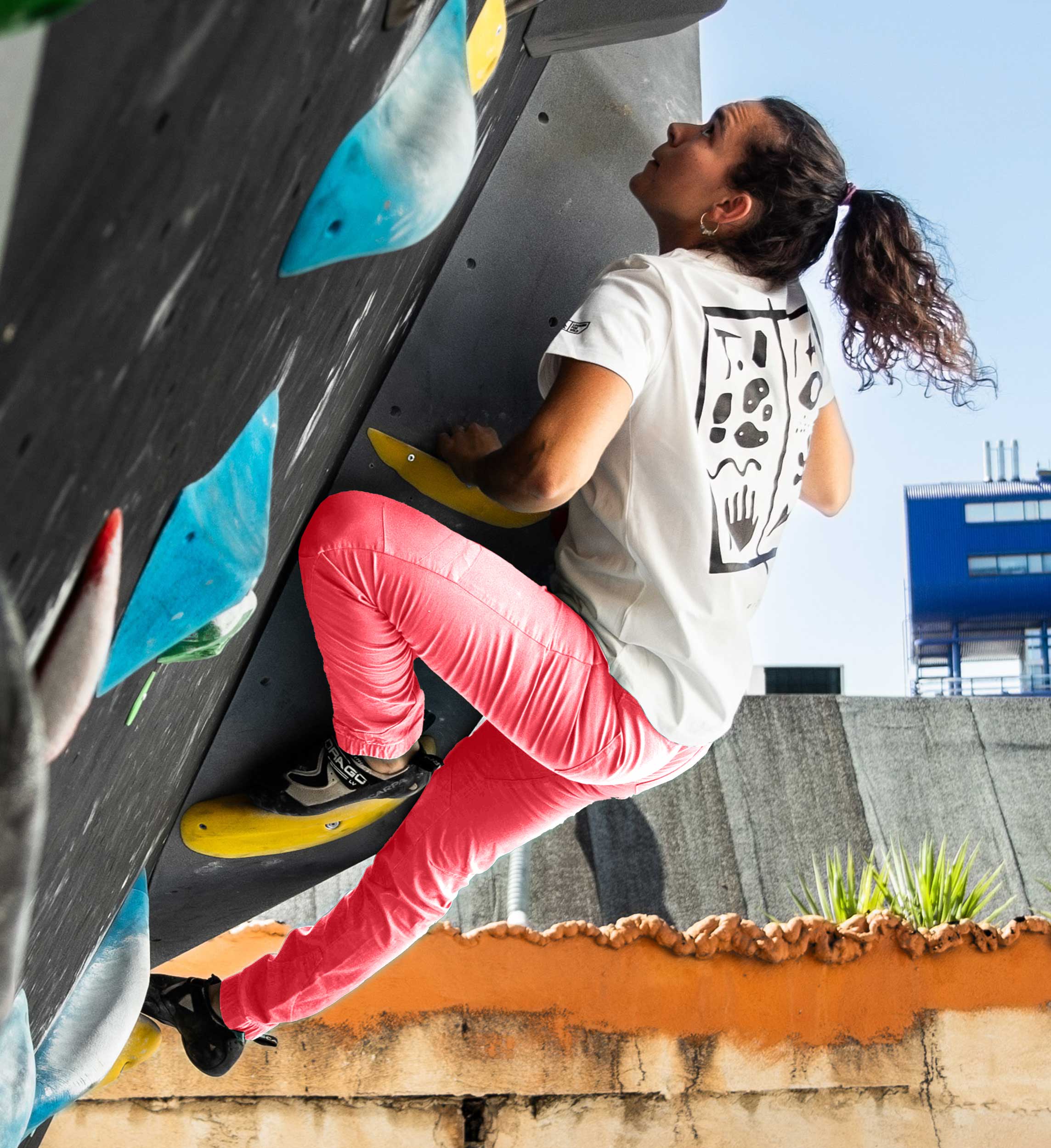 Climbing Pants Laila Peak - Hibicus